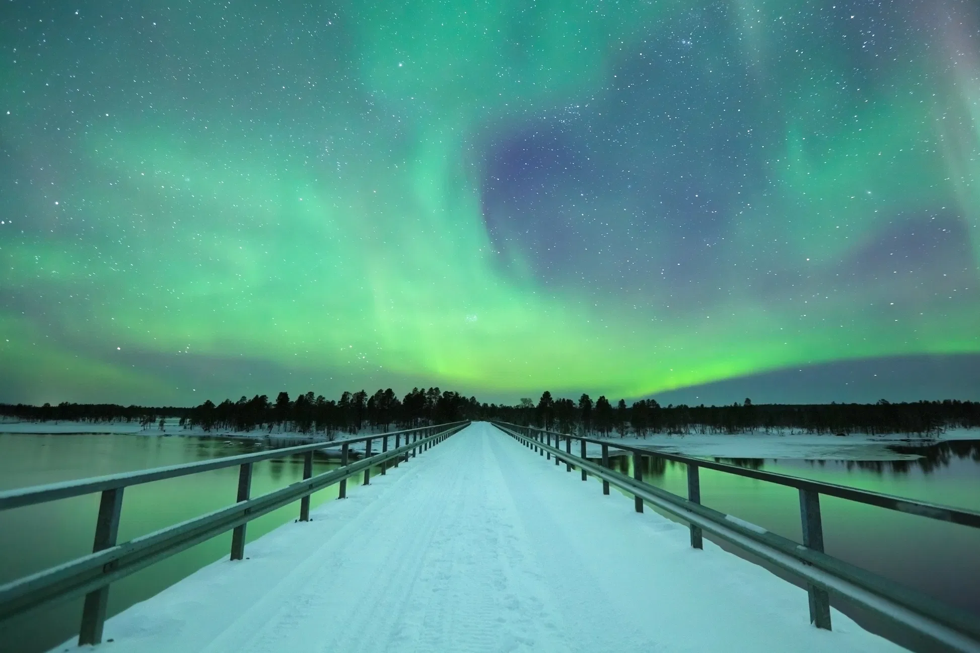 Arctic Midnight Group