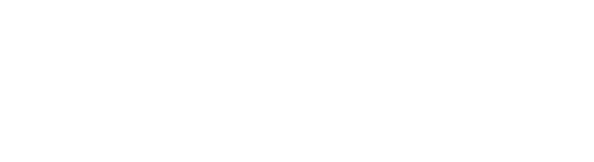 Tech Zenon Logo