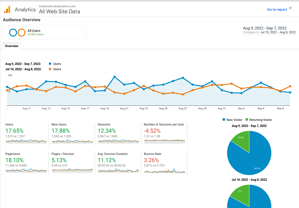 Google SEO Ranking Results