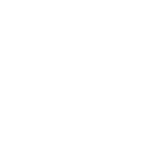 Web Development icon